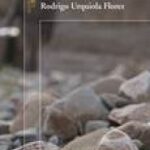 portada-lluvia-piedra_2_grande